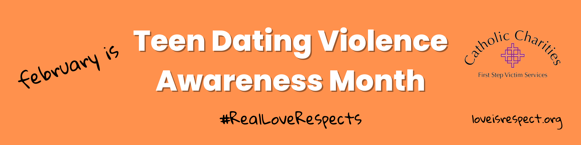 TDVAM Website Slider